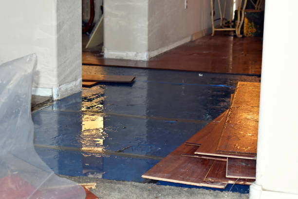 Professional Water Extraction technician working in Harshaw, WI